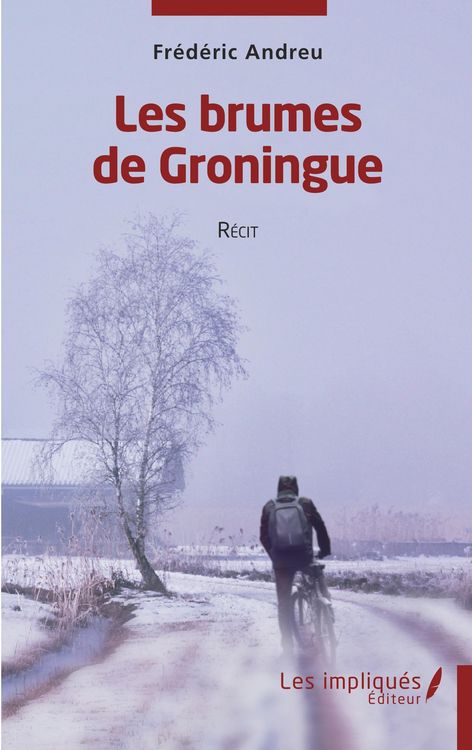 Produktbild: Les brumes de Groningue