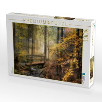 Produktbild: CALVENDO Puzzle Ins Licht | 1000 Teile Lege-Gr&ouml;&szlig;e 64x48cm Foto-Puzzle f&uuml;r gl&uuml;ckliche Stunden