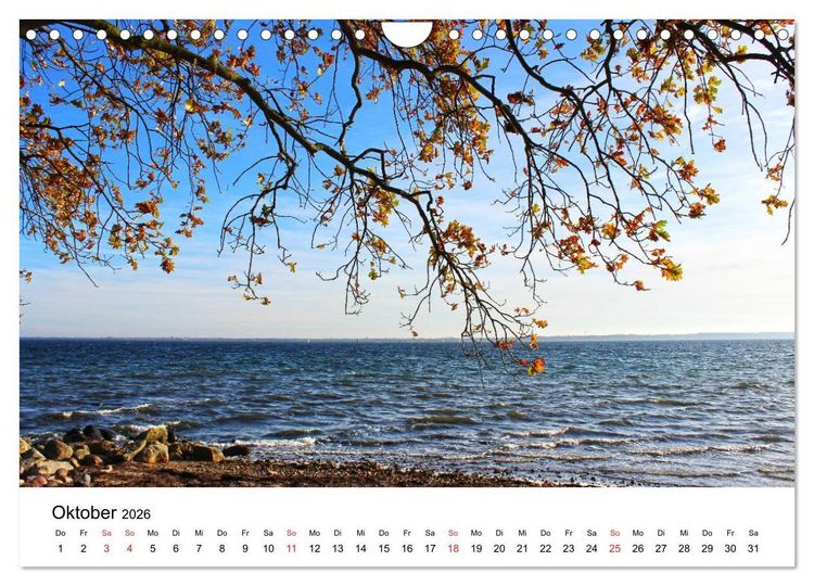 Produktbild: Strande und B&uuml;lk 2026 (Wandkalender 2026 DIN A4 quer), CALVENDO Monatskalender