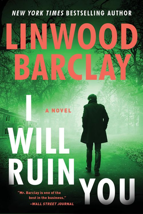 Produktbild: I Will Ruin You