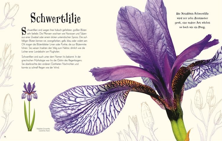 Produktbild: Wundervolle Welt der Natur