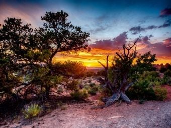 Produktbild: Arches Nationalpark, Utah (Puzzle)
