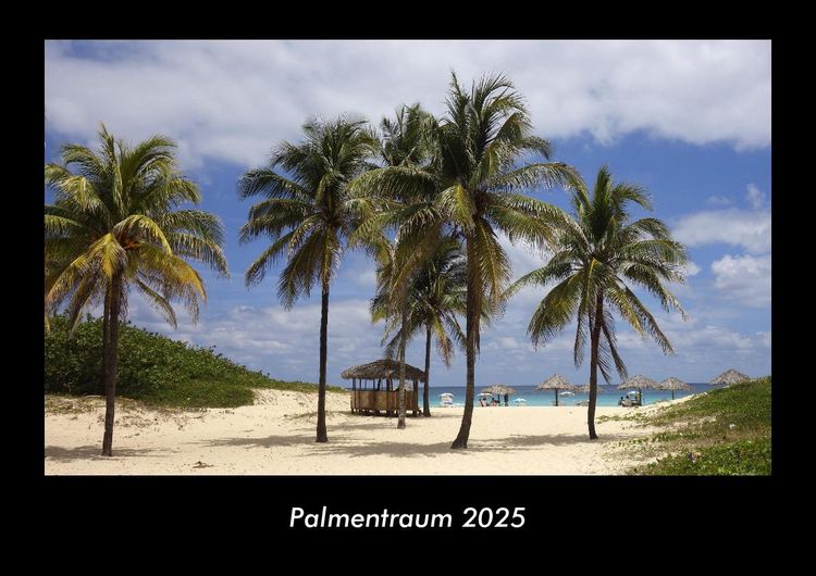 Produktbild: Palmentraum 2025 Fotokalender DIN A3