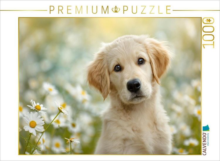 Produktbild: CALVENDO Puzzle Ein Blick, und dein Herz schmilzt dahin | 1000 Teile Lege-Gr&ouml;&szlig;e 64x48cm Foto-Puzzle f&uuml;r gl&uuml;ckliche Stunden