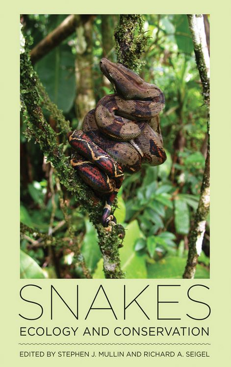 Produktbild: Snakes