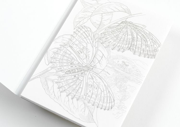 Produktbild: Natural History