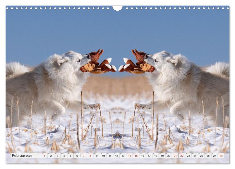Produktbild: Mit doppelter Power durch das Jahr (Wandkalender 2026 DIN A3 quer), CALVENDO Monatskalender