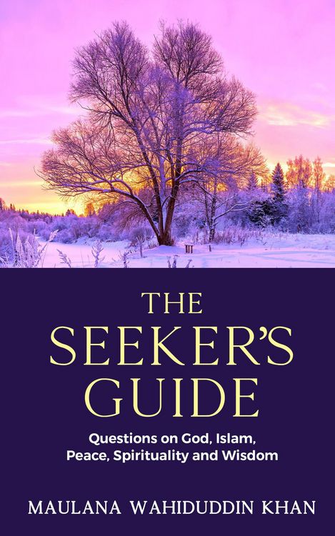 Produktbild: The Seeker's Guide (1)