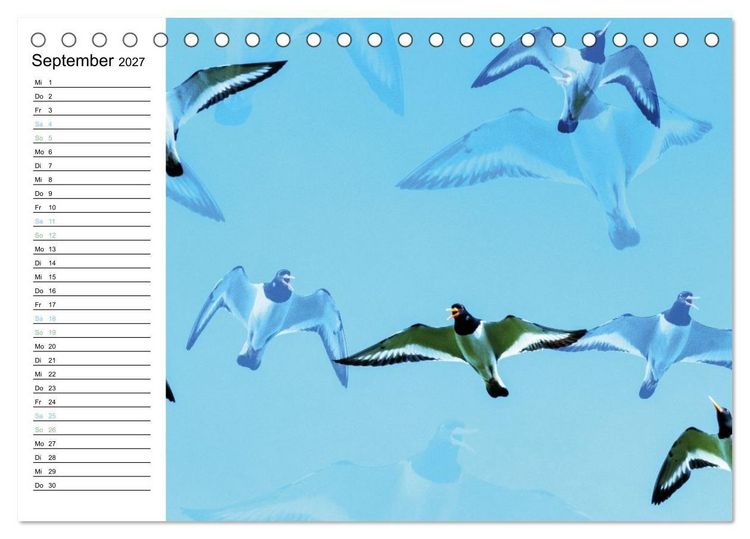 Produktbild: Fan&oslash; - Mit k&uuml;nstlerischem Auge betrachtet (Tischkalender 2027 DIN A5 quer), CALVENDO Monatskalender