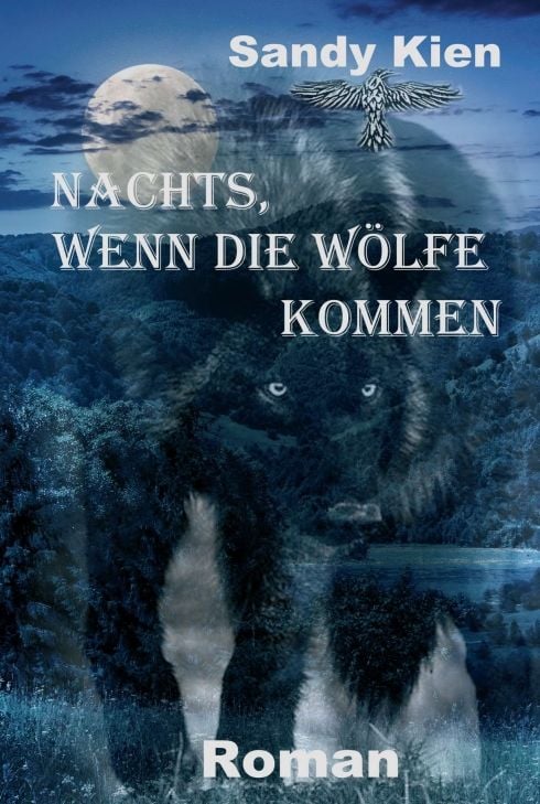 Produktbild: Nachts, wenn die W&ouml;lfe kommen