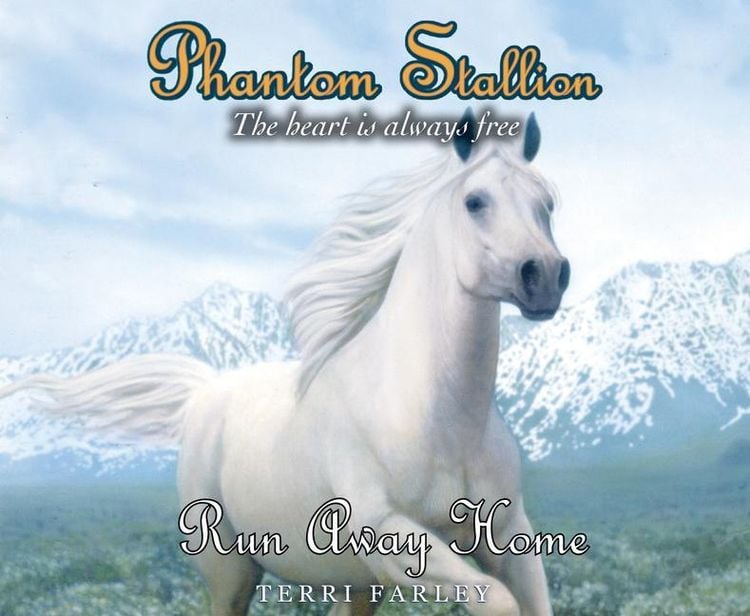 Produktbild: Phantom Stallion, 24: Run Away Home