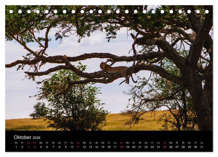 Produktbild: Wildes Afrika (Tischkalender 2026 DIN A5 quer), CALVENDO Monatskalender
