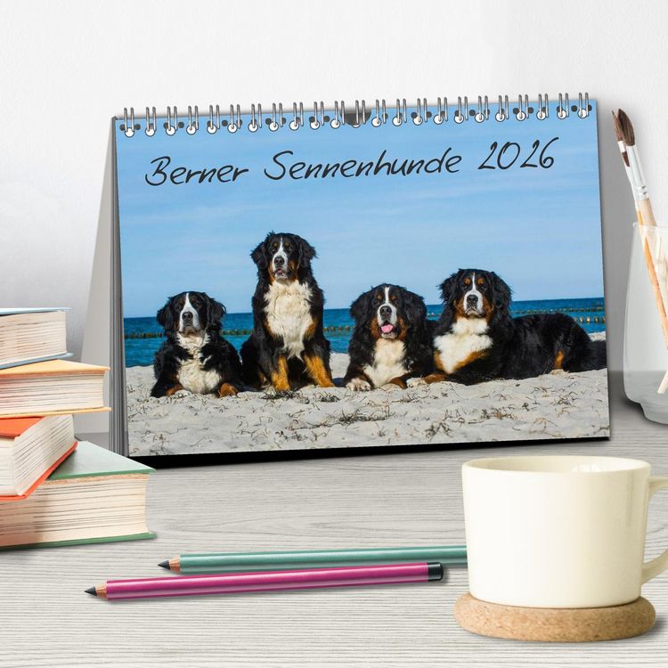Produktbild: Berner Sennenhund 2026 (Tischkalender 2026 DIN A5 quer), CALVENDO Monatskalender
