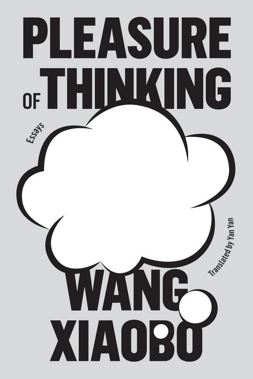 Produktbild: Pleasure of Thinking