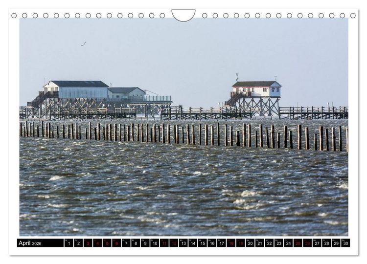 Produktbild: St. Peter-Ording - Natur pur (Wandkalender 2026 DIN A4 quer), CALVENDO Monatskalender
