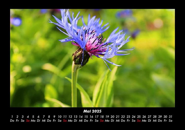Produktbild: Blick in die Natur 2025 Fotokalender DIN A3