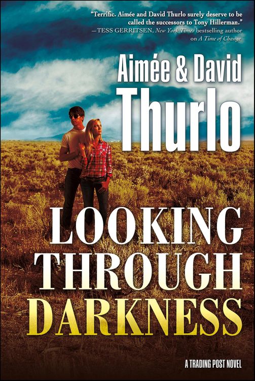 Produktbild: Looking Through Darkness