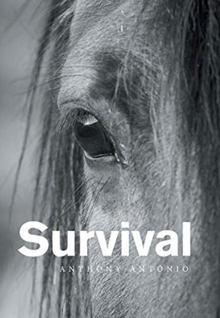 Produktbild: Survival