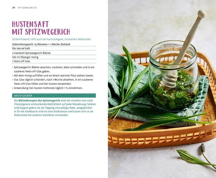 Produktbild: Wild und wunderbar: die 13 besten Wildkr&auml;uter