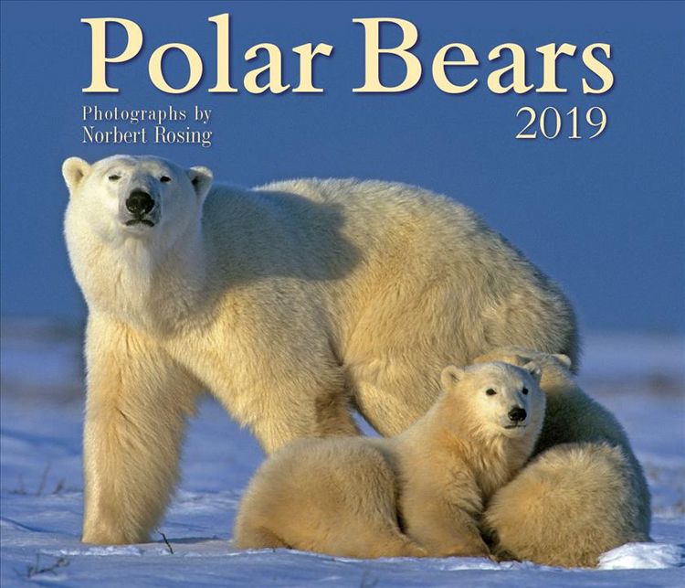 Produktbild: Rosing, N: Polar Bears 2019 Calendar