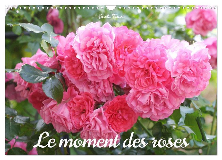 Produktbild: Le moment des roses (Calendrier mural 2026 DIN A3 vertical), CALVENDO calendrier mensuel
