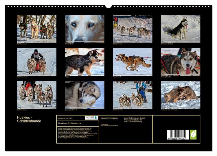 Produktbild: Huskies - Schlittenhunde (hochwertiger Premium Wandkalender 2026 DIN A2 quer), Kunstdruck in Hochglanz