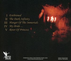 Produktbild: Morgul: Lost In Shadows Grey (CD)