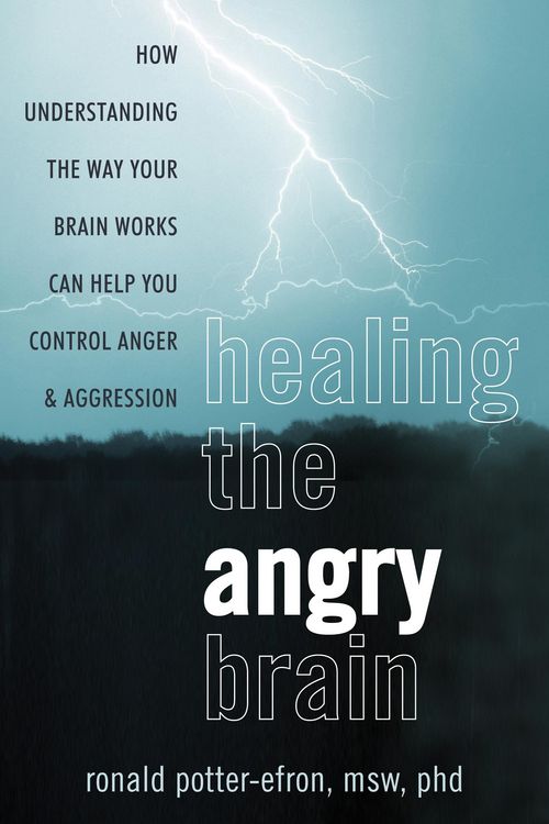 Produktbild: Healing the Angry Brain