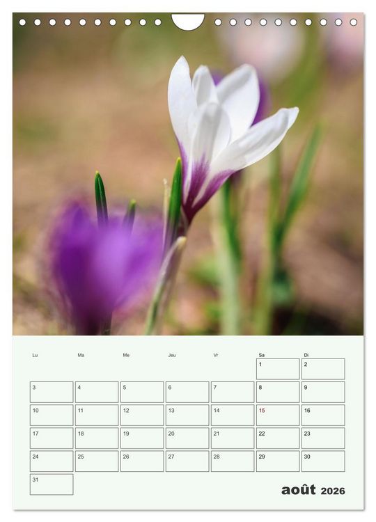 Produktbild: Les fleurs, &eacute;ternelles &eacute;phem&egrave;res (Calendrier mural 2026 DIN A4 horizontal), CALVENDO calendrier mensuel