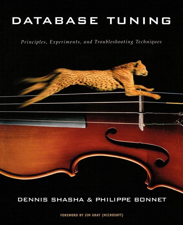 Produktbild: Database Tuning