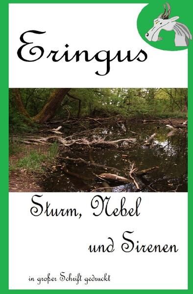Produktbild: Der Drache Eringus / Eringus - Sturm, Nebel und Sirenen