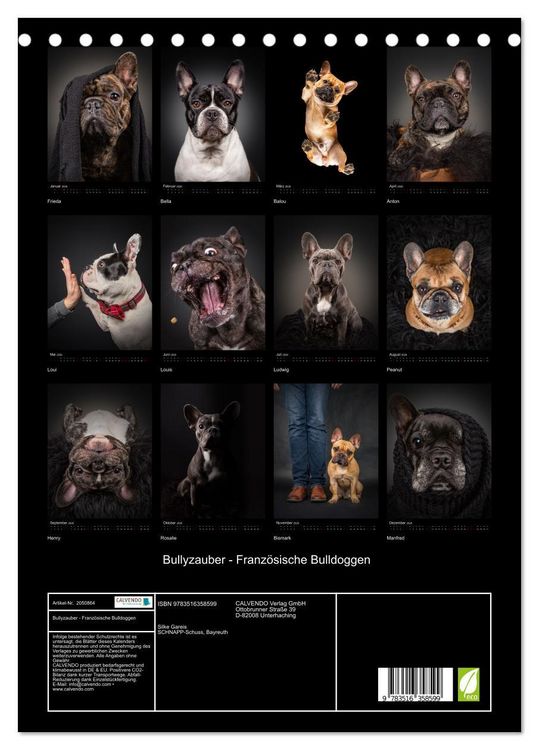 Produktbild: Bullyzauber - Franz&ouml;sische Bulldoggen (Tischkalender 2026 DIN A5 hoch), CALVENDO Monatskalender