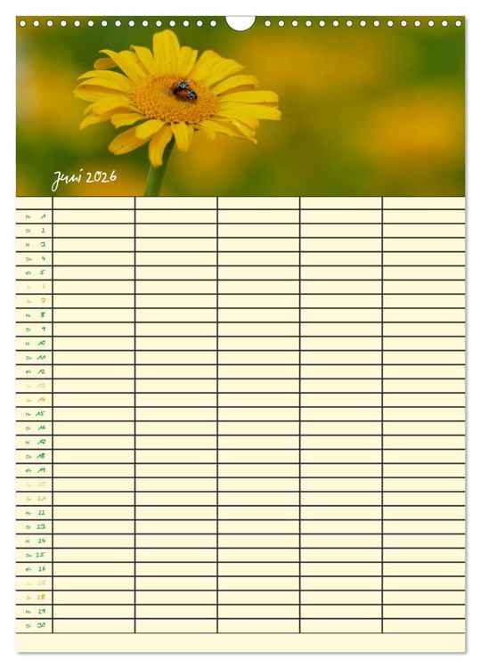 Produktbild: Kleine Natursch&ouml;nheiten (Wandkalender 2026 DIN A3 hoch), CALVENDO Monatskalender
