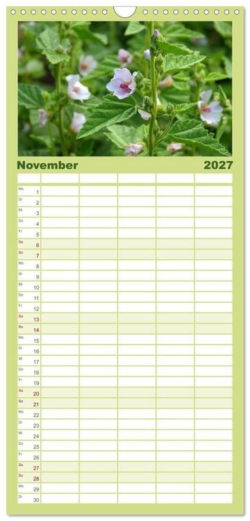 Produktbild: Familienplaner 2027 - Arzneipflanzen mit 5 Spalten (Wandkalender, 21 x 45 cm) CALVENDO