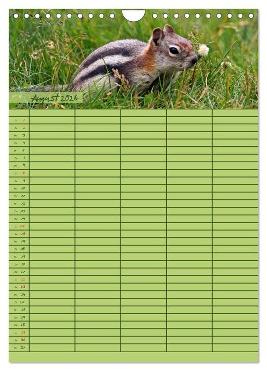 Produktbild: Tierischer Familienplaner (Wandkalender 2026 DIN A4 hoch), CALVENDO Monatskalender
