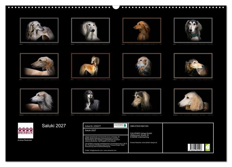 Produktbild: Saluki 2027 (Wandkalender 2027 DIN A2 quer), CALVENDO Monatskalender