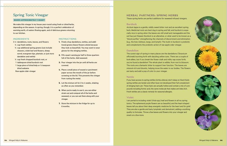 Produktbild: Edible & Medicinal Seaweeds