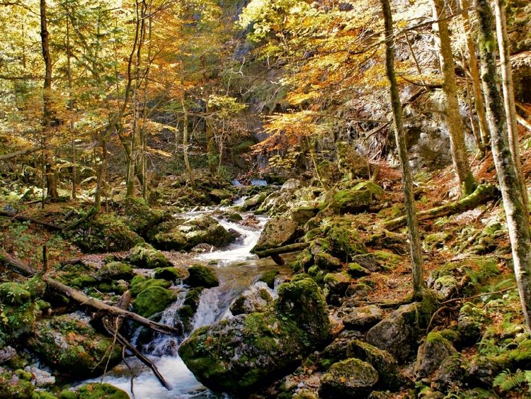 Produktbild: CALVENDO Puzzle Hartelsgraben | 1000 Teile Lege-Gr&ouml;&szlig;e 64x48cm Foto-Puzzle f&uuml;r gl&uuml;ckliche Stunden