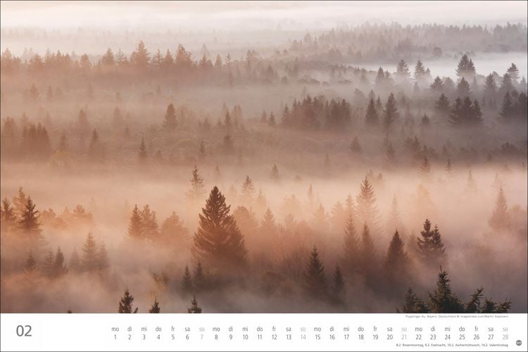 Produktbild: Wunderwelt Wald 2027