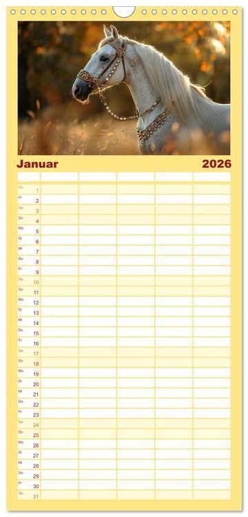 Produktbild: Familienplaner 2026 - Bezaubernde Eleganz wei&szlig;er Pferde mit 5 Spalten (Wandkalender, 21 x 45 cm) CALVENDO