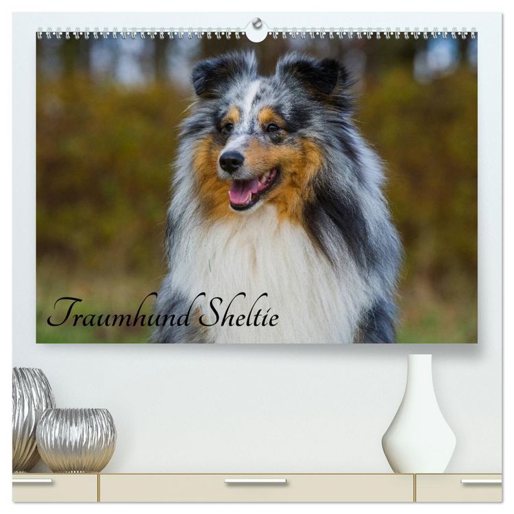 Produktbild: Traumhund Sheltie (hochwertiger Premium Wandkalender 2026 DIN A2 quer), Kunstdruck in Hochglanz