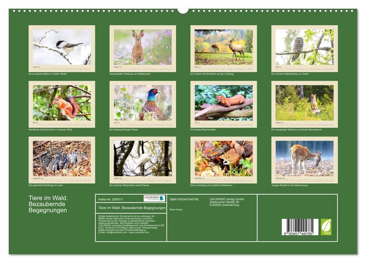 Produktbild: Tiere im Wald. Bezaubernde Begegnungen (hochwertiger Premium Wandkalender 2026 DIN A2 quer), Kunstdruck in Hochglanz
