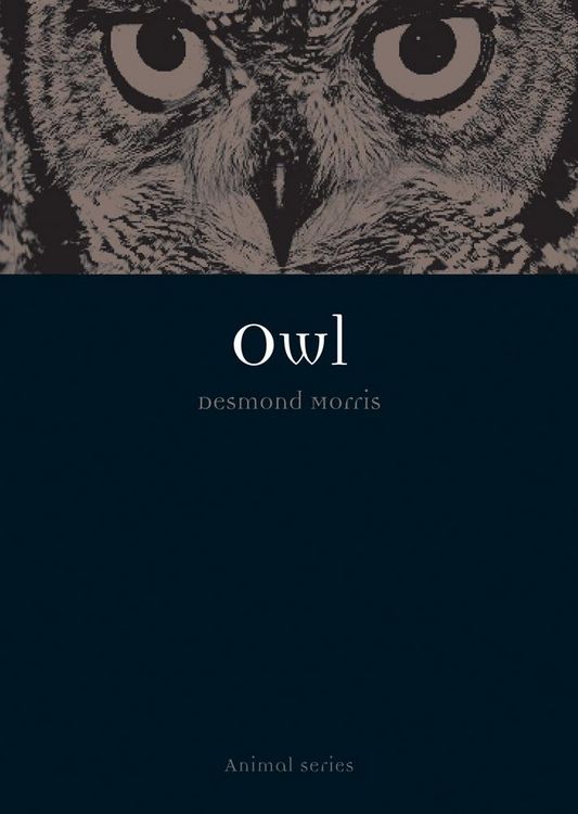 Produktbild: Owl