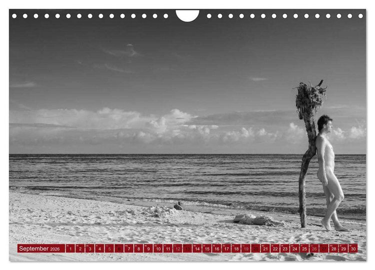 Produktbild: Haut(e) Couture (Wandkalender 2026 DIN A4 quer), CALVENDO Monatskalender