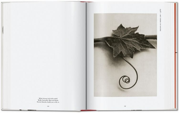 Produktbild: Karl Blossfeldt. The Complete Published Work. 45th Ed.
