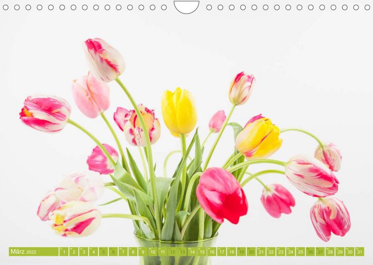 Produktbild: Tulpen f&uuml;r das ganze Jahr (Wandkalender 2022 DIN A4 quer)