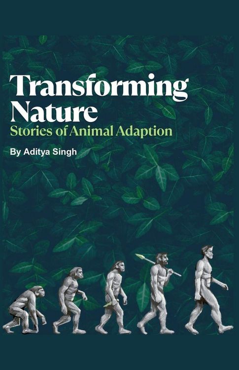 Produktbild: Transforming Nature