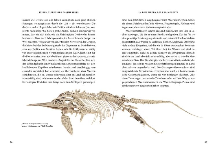 Produktbild: Das gro&szlig;e Buch der Evolution