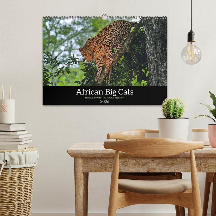 Produktbild: African Big Cats (Wall Calendar 2026 DIN A3 landscape), CALVENDO 12 Month Wall Calendar