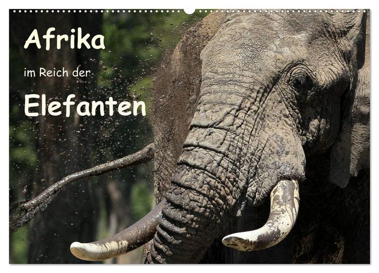 Produktbild: Afrika - im Reich der Elefanten (Wandkalender 2026 DIN A2 quer), CALVENDO Monatskalender